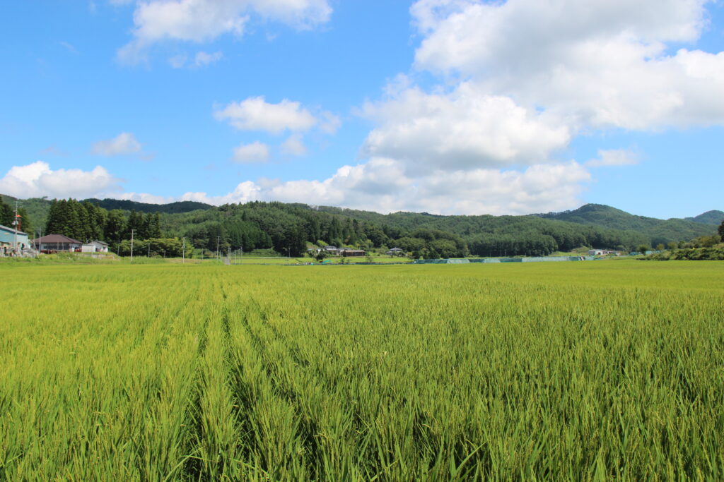 <?php echo $city['title'] ?>