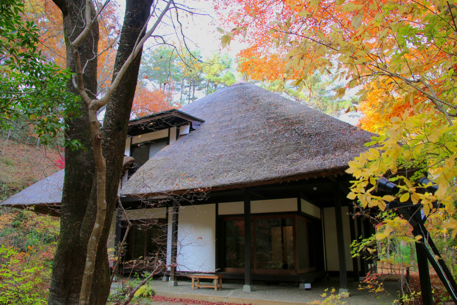 川内村はどんなとこ?気候やアクセス、名物や産業を紹介! 未来ワークふくしま